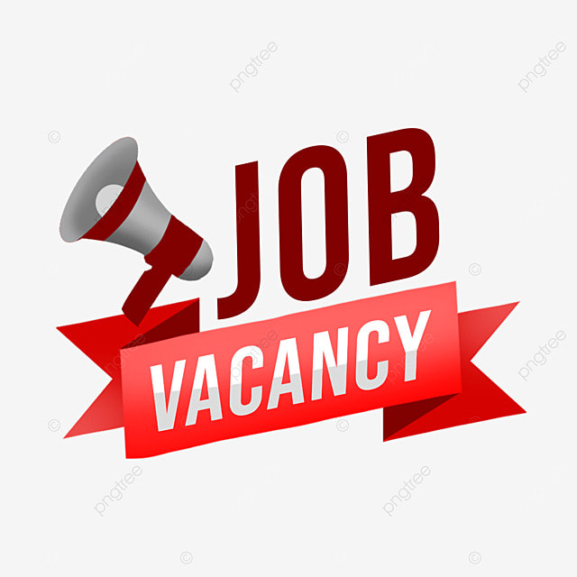 Vacancy Announcement: Media Development and ICTs Programme Officer